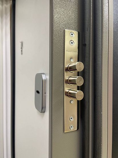 Входная дверь  