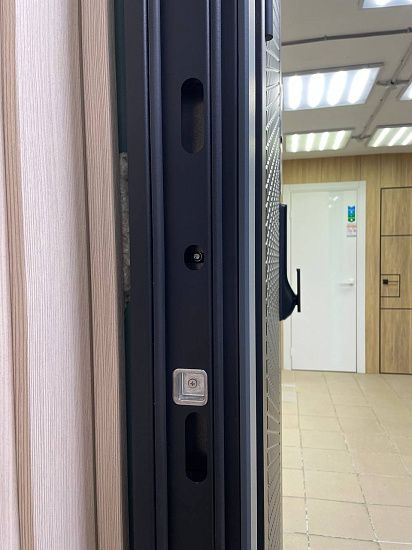 Входная дверь  